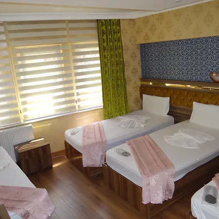 Torun Hotel 3*