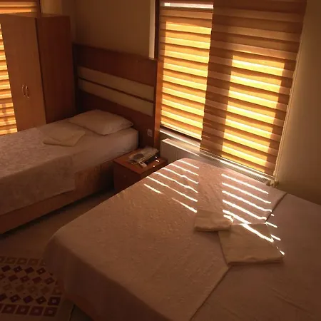 Hotel Torun