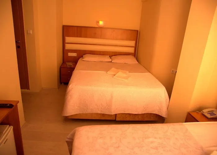 Torun Hotel 3*